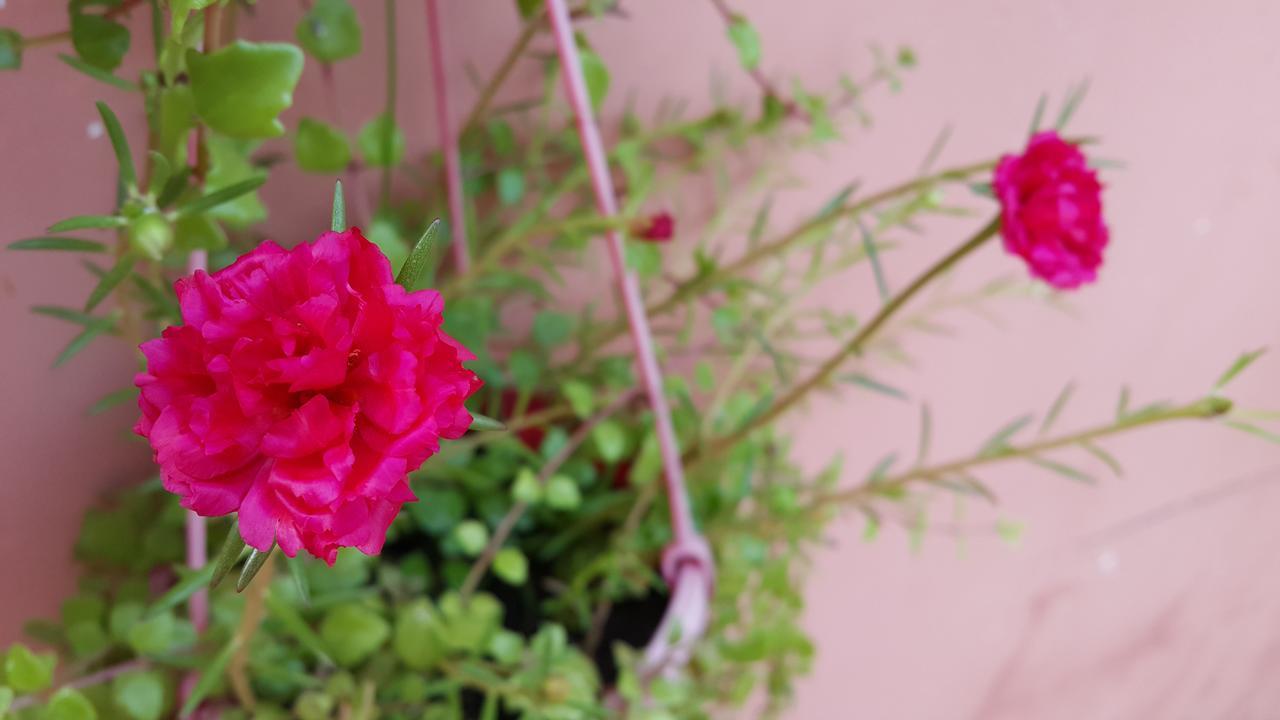 帕玛酒店 Kampong Chhnang 外观 照片